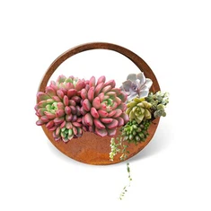 Trồng cây treo bằng thép Corten